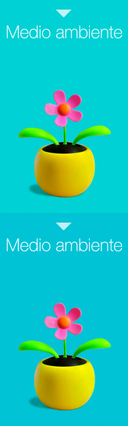 cursos medio ambiente